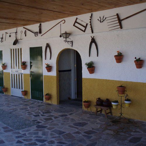 Centro Ecuestre en Pinto