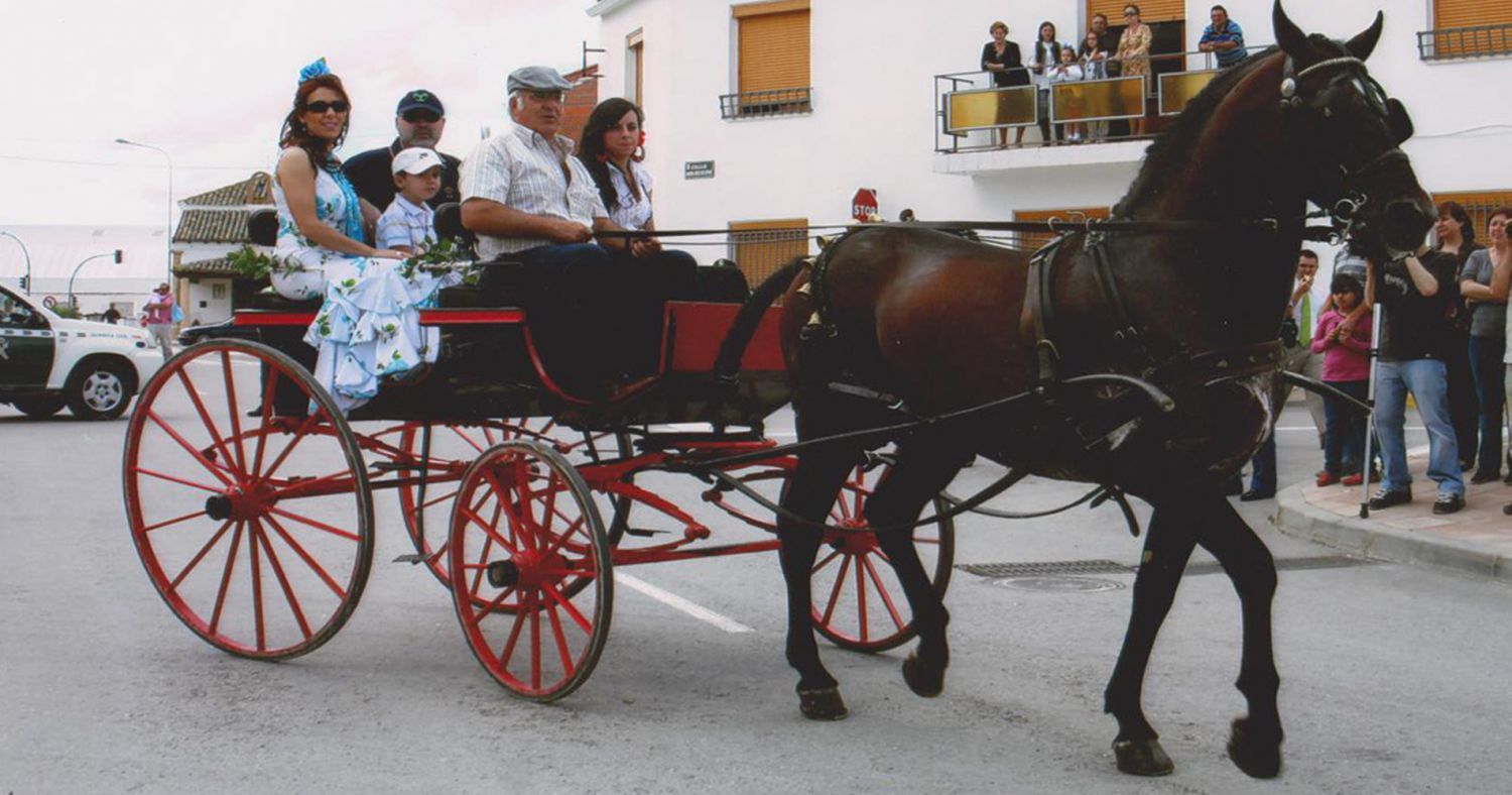 centro ecuestre en Madrid