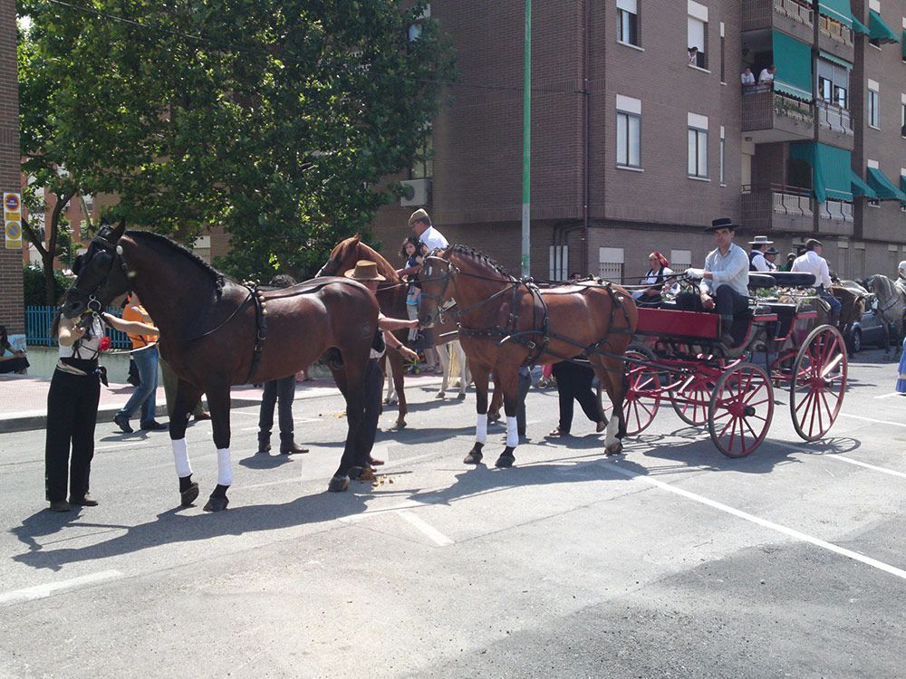 CENTRO ECUESTRE LOS LAURELES