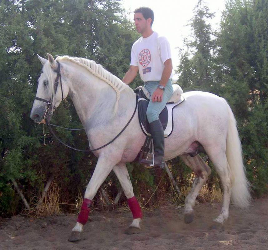 CENTRO ECUESTRE LOS LAURELES