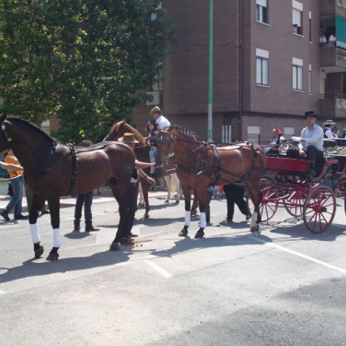 CENTRO ECUESTRE LOS LAURELES