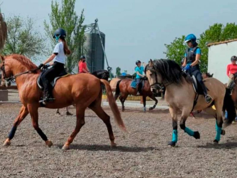 clases de equitacion