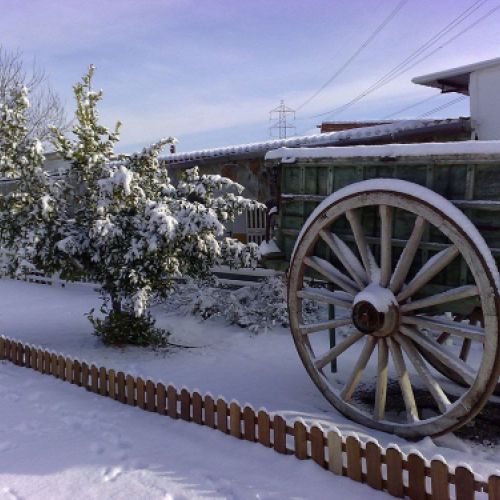 Instalaciones Los Laureles