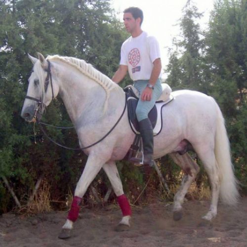 CENTRO ECUESTRE LOS LAURELES